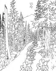 Wald Ausmalbilder 11