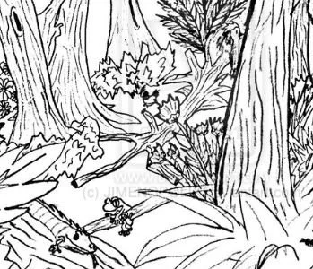 Wald Ausmalbilder 16