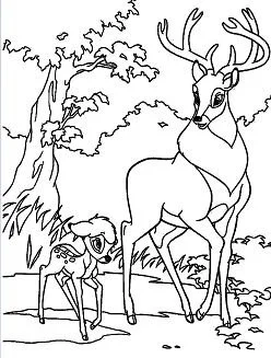 Wald Ausmalbilder 34