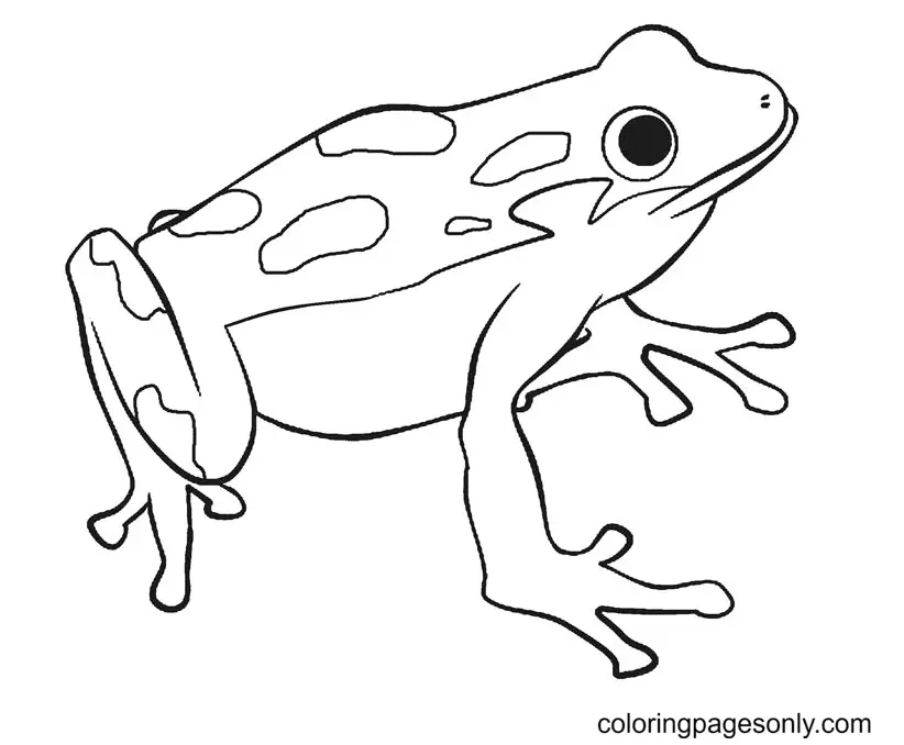 Frog Coloring Pages 1