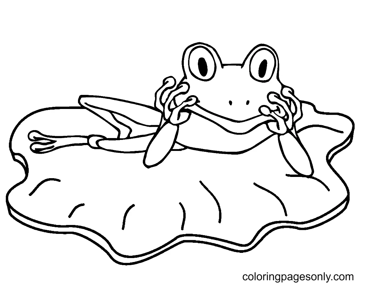 Frog Coloring Pages 11