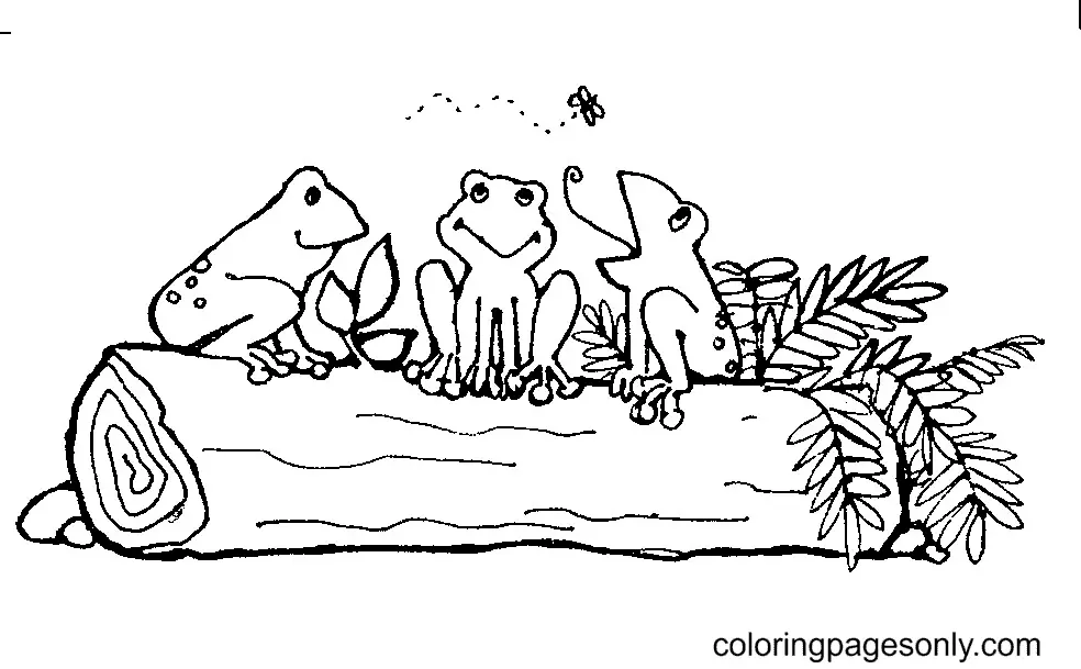 Frog Coloring Pages 14