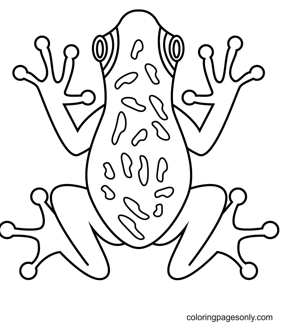 Frog Coloring Pages 15
