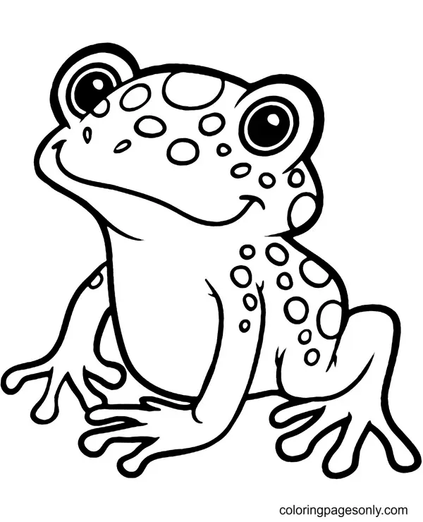 Frog Coloring Pages 22