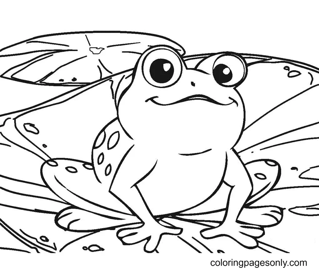 Frog Coloring Pages 28