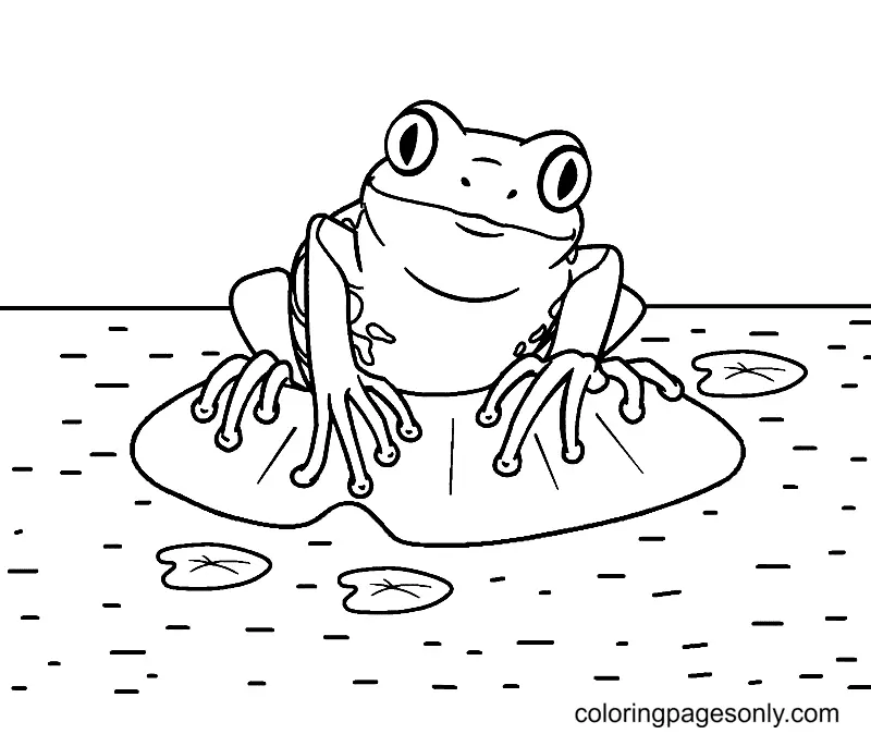 Frog Coloring Pages 29