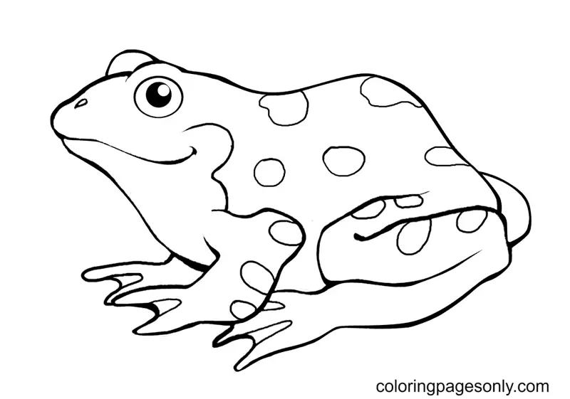Frog Coloring Pages 3