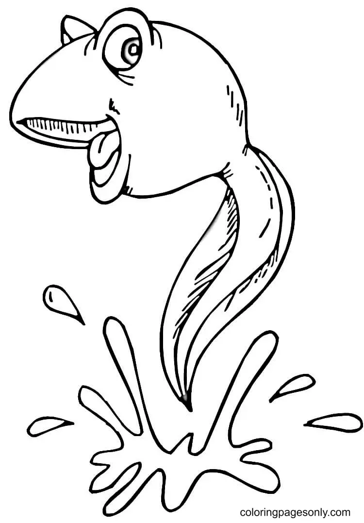Frog Coloring Pages 32