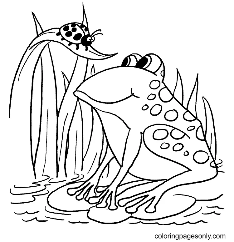 Frog Coloring Pages 33