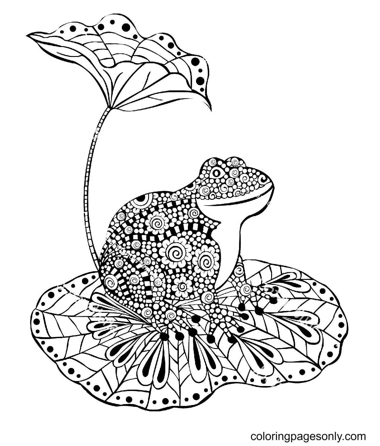 Frog Coloring Pages 42