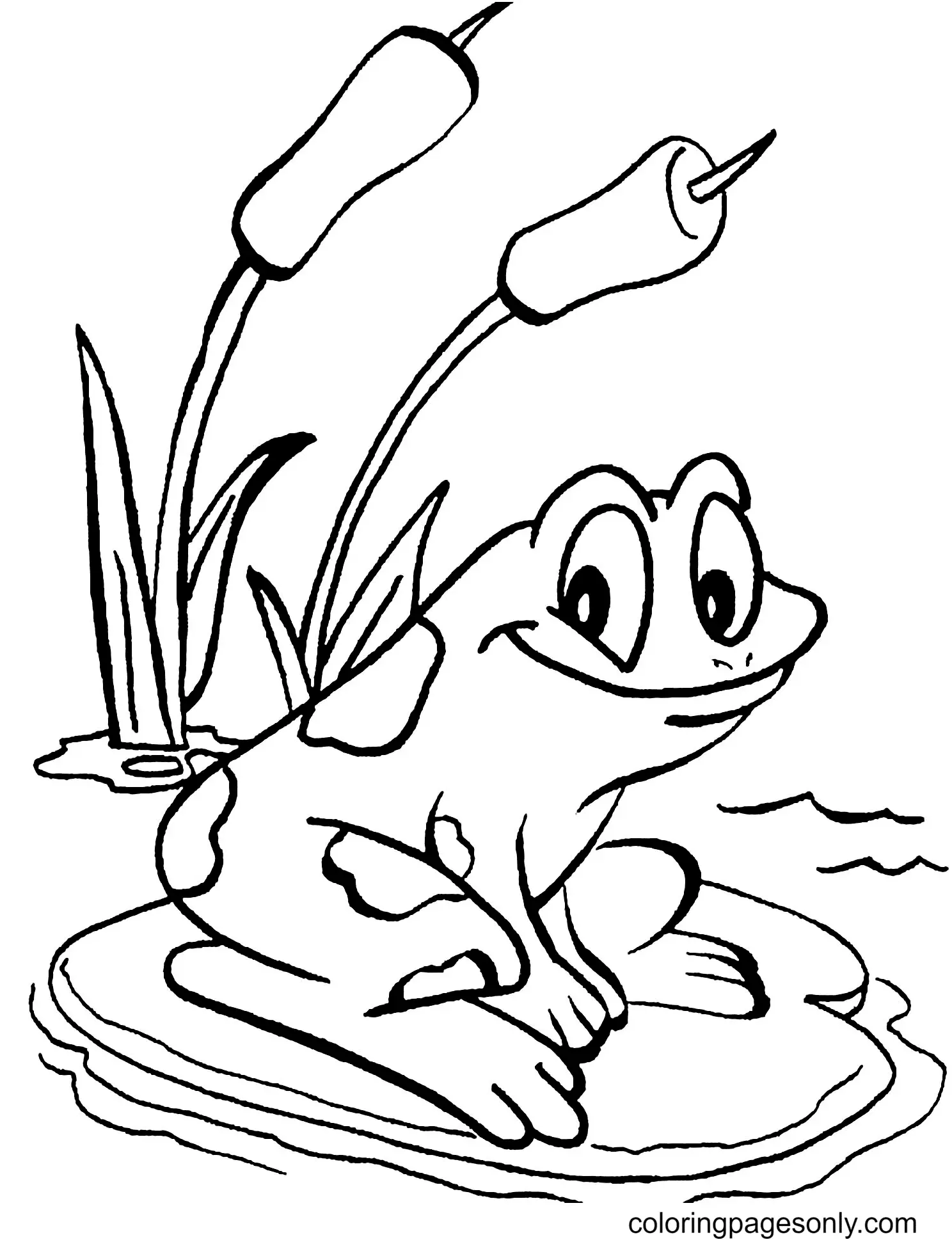 Frog Coloring Pages 44