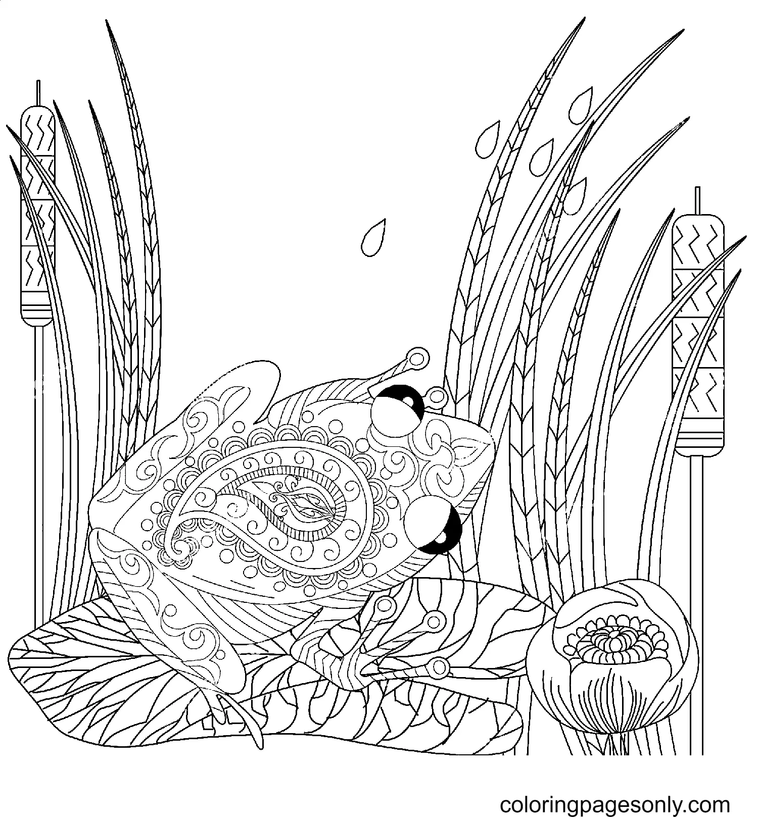 Frog Coloring Pages 50