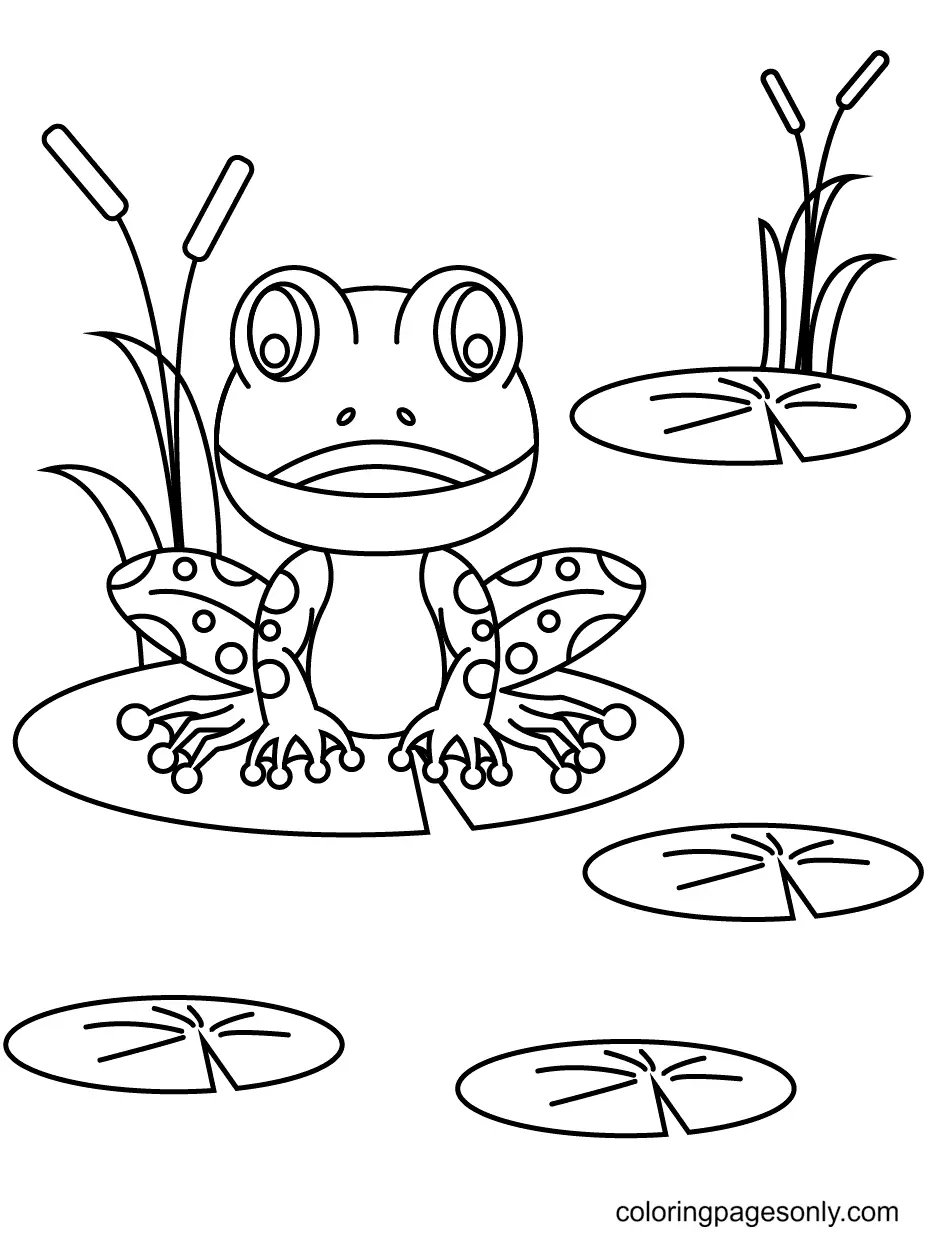 Frog Coloring Pages 51