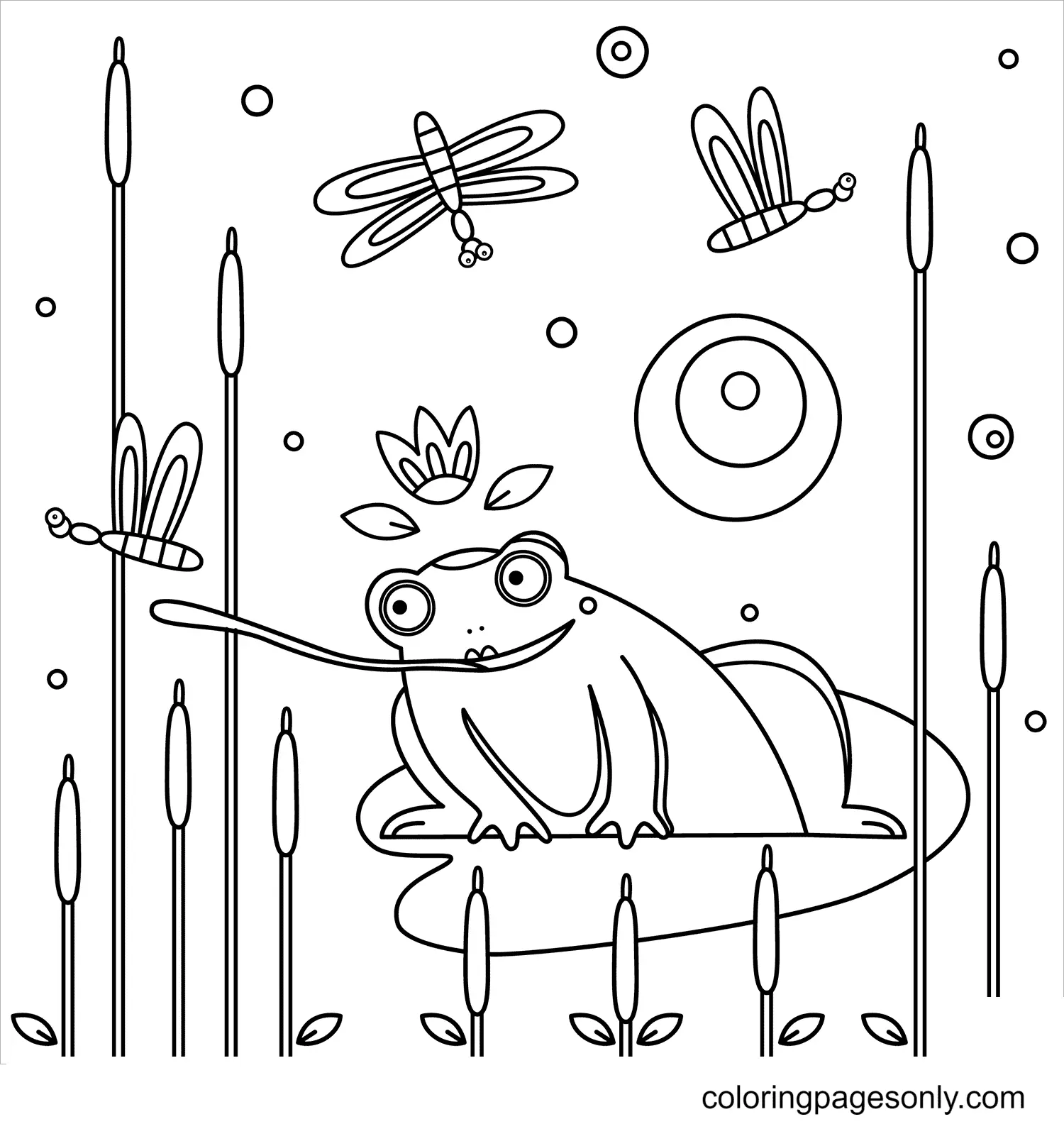 Frog Coloring Pages 55