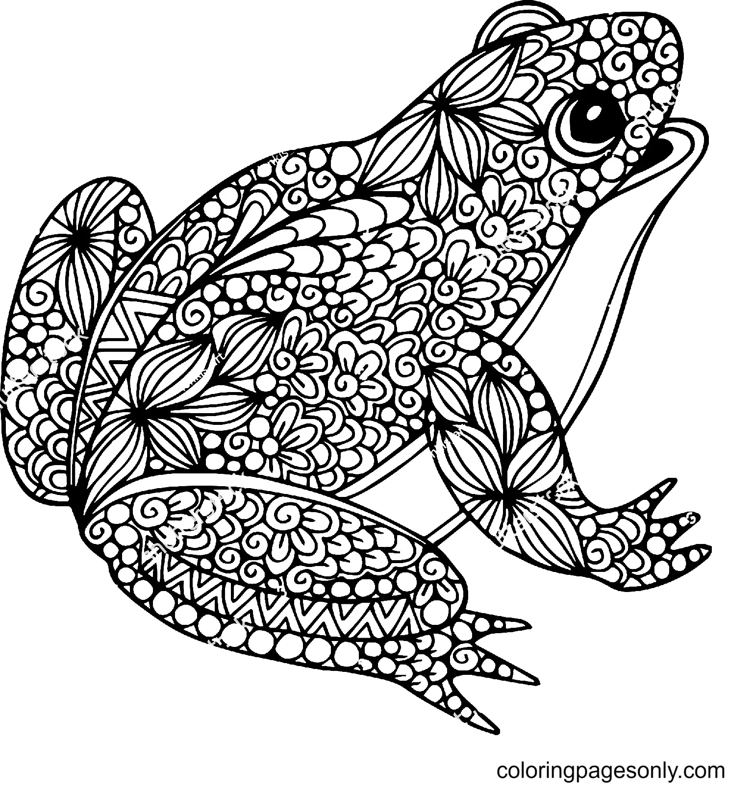 Frog Coloring Pages 8