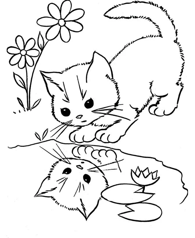 Funny Coloring Pages 64