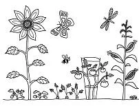 Jardines Para Colorear 29