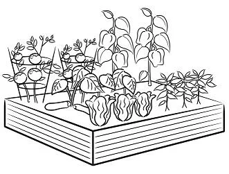 Jardines Para Colorear 30