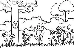 Jardines Para Colorear 8