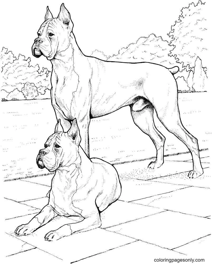 German Shepherd Coloring Pages 18