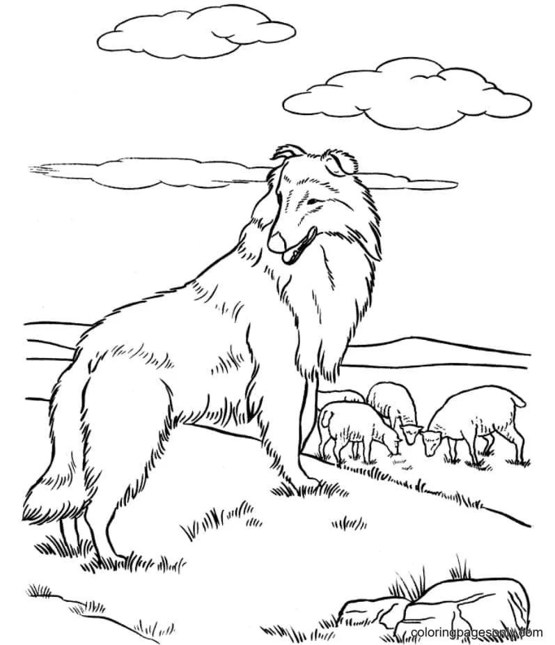 German Shepherd Coloring Pages 38