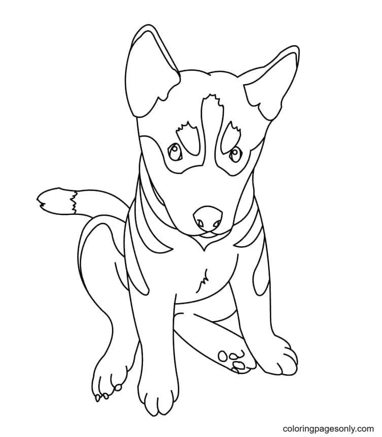 German Shepherd Coloring Pages 5