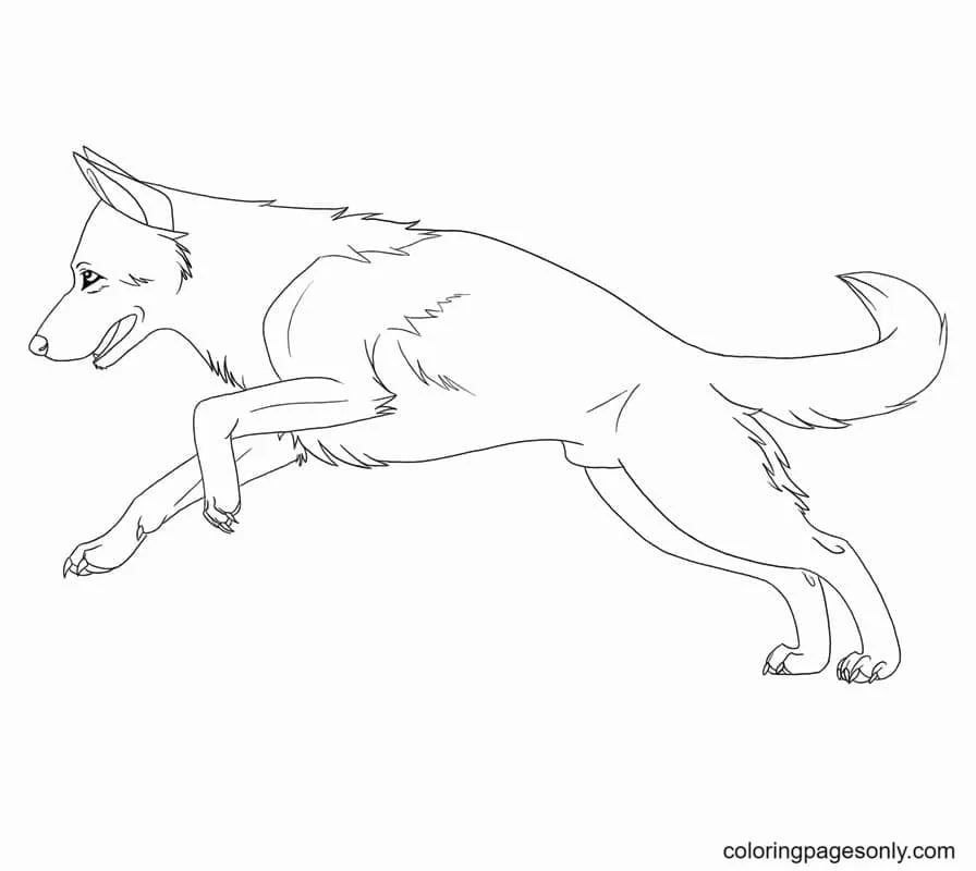 German Shepherd Coloring Pages 6