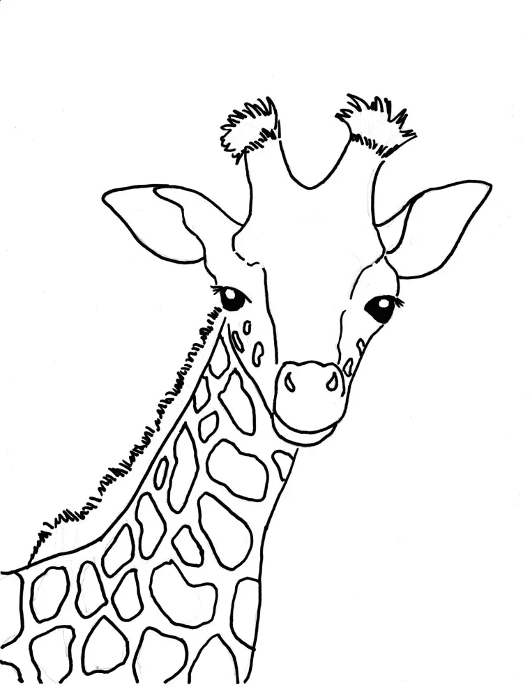 Giraffes Coloring Pages 15