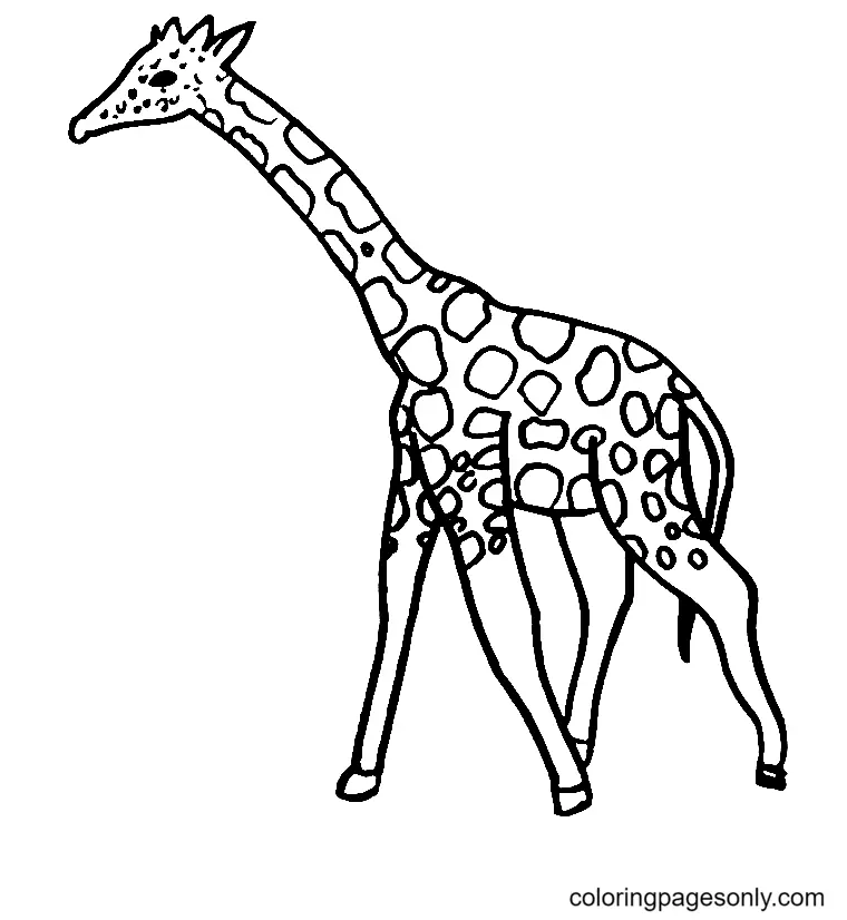 Giraffes Coloring Pages 16