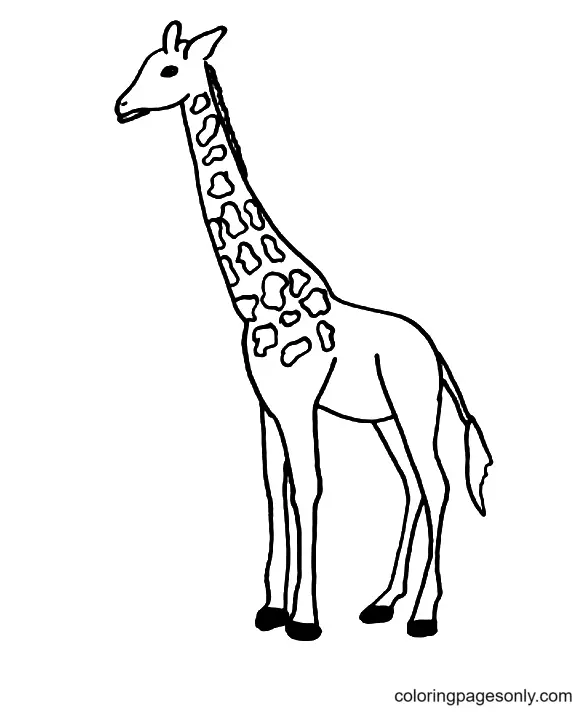 Giraffes Coloring Pages 34
