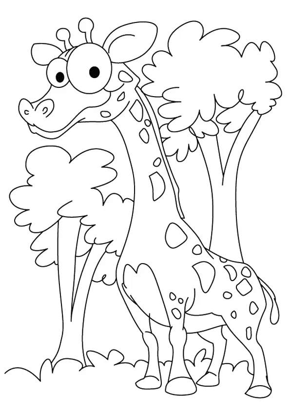 Giraffes Coloring Pages 36