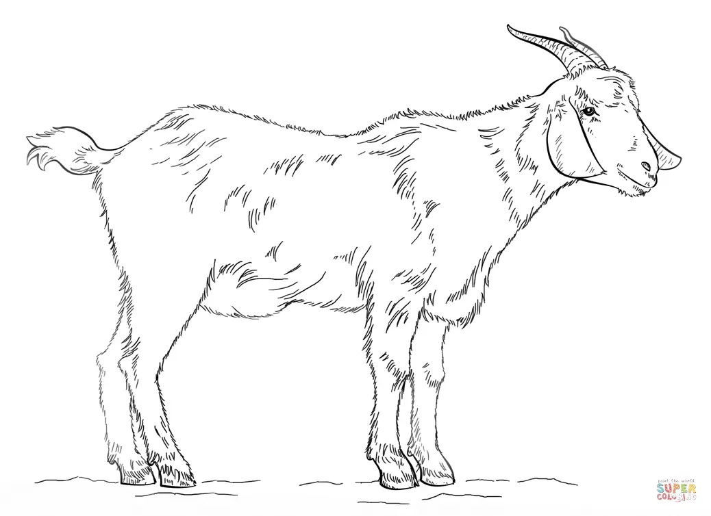 Cabras Para Colorear 26