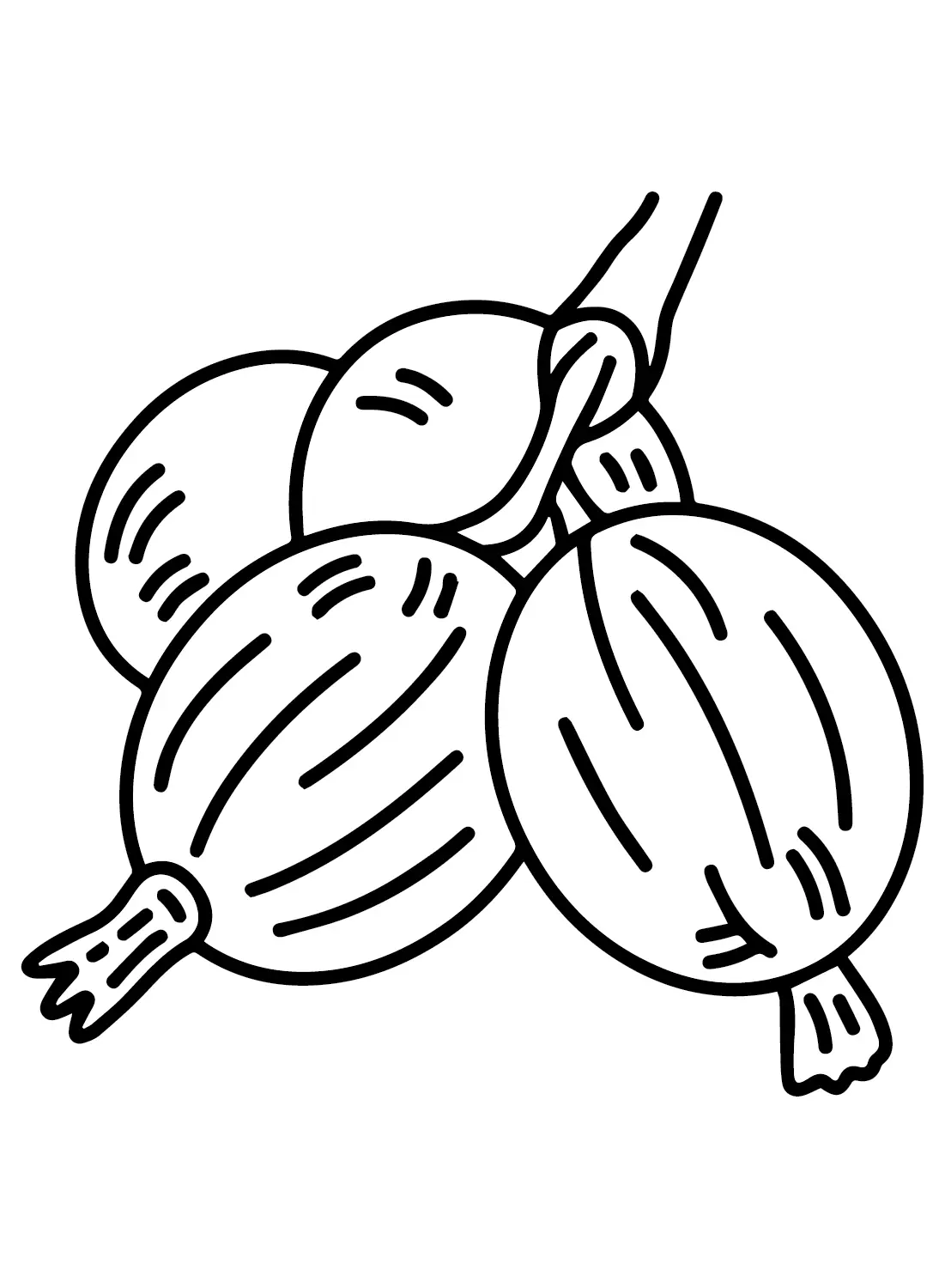 Gooseberry Coloring Pages 11