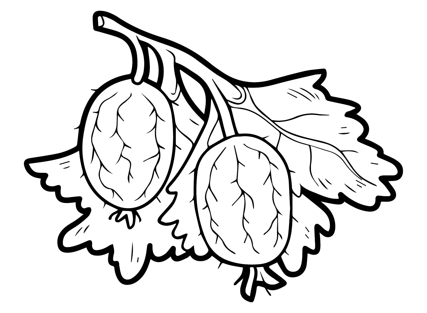 Gooseberry Coloring Pages 17