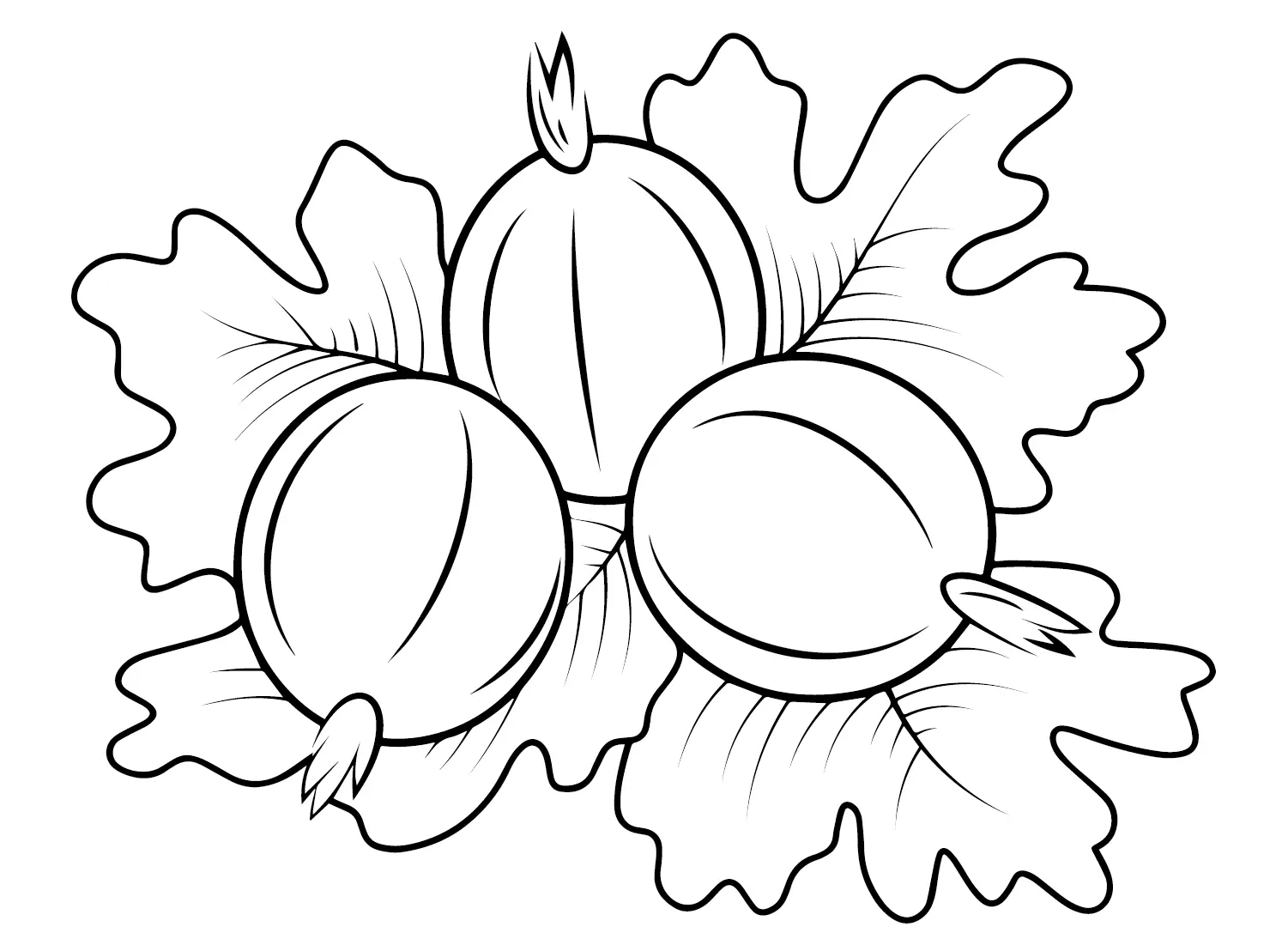 Gooseberry Coloring Pages 22