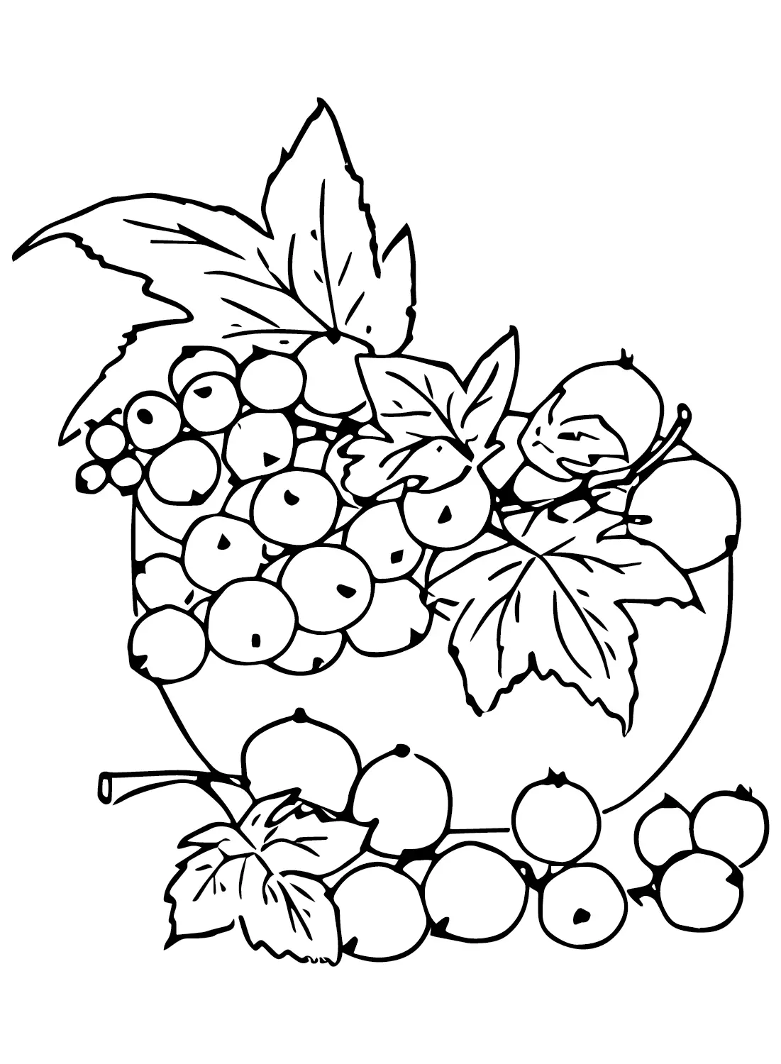 Gooseberry Coloring Pages 3