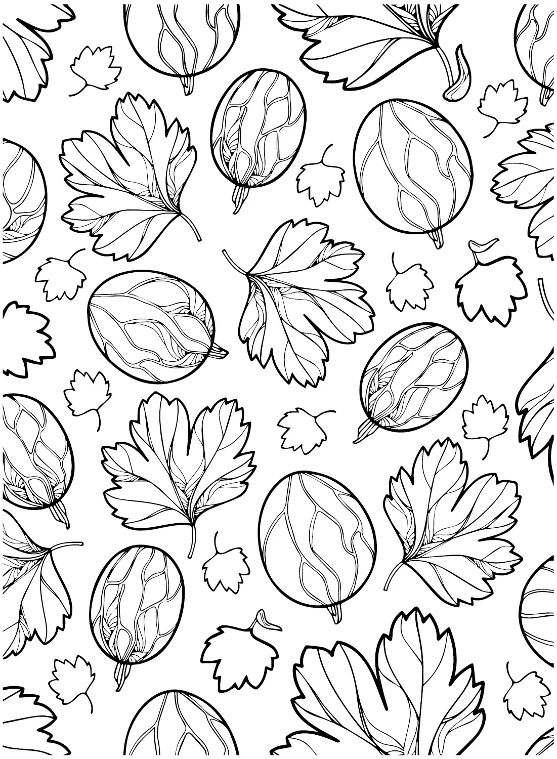 Gooseberry Coloring Pages 9