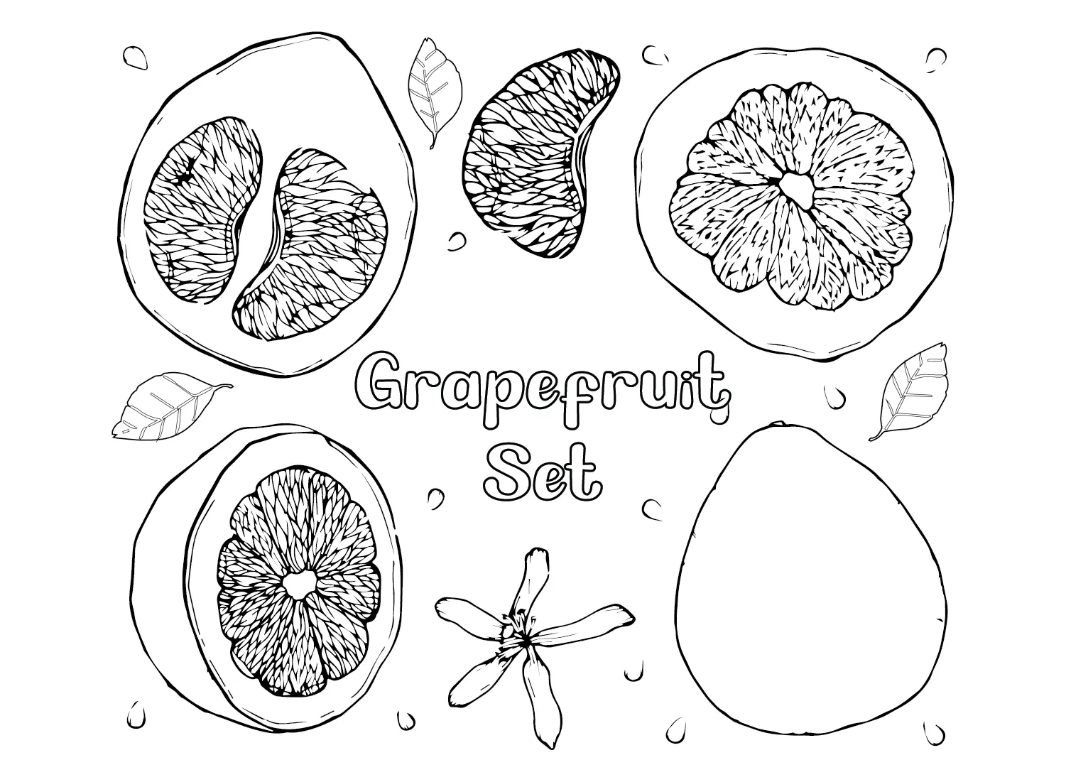 Grapefruit Ausmalbilder 15