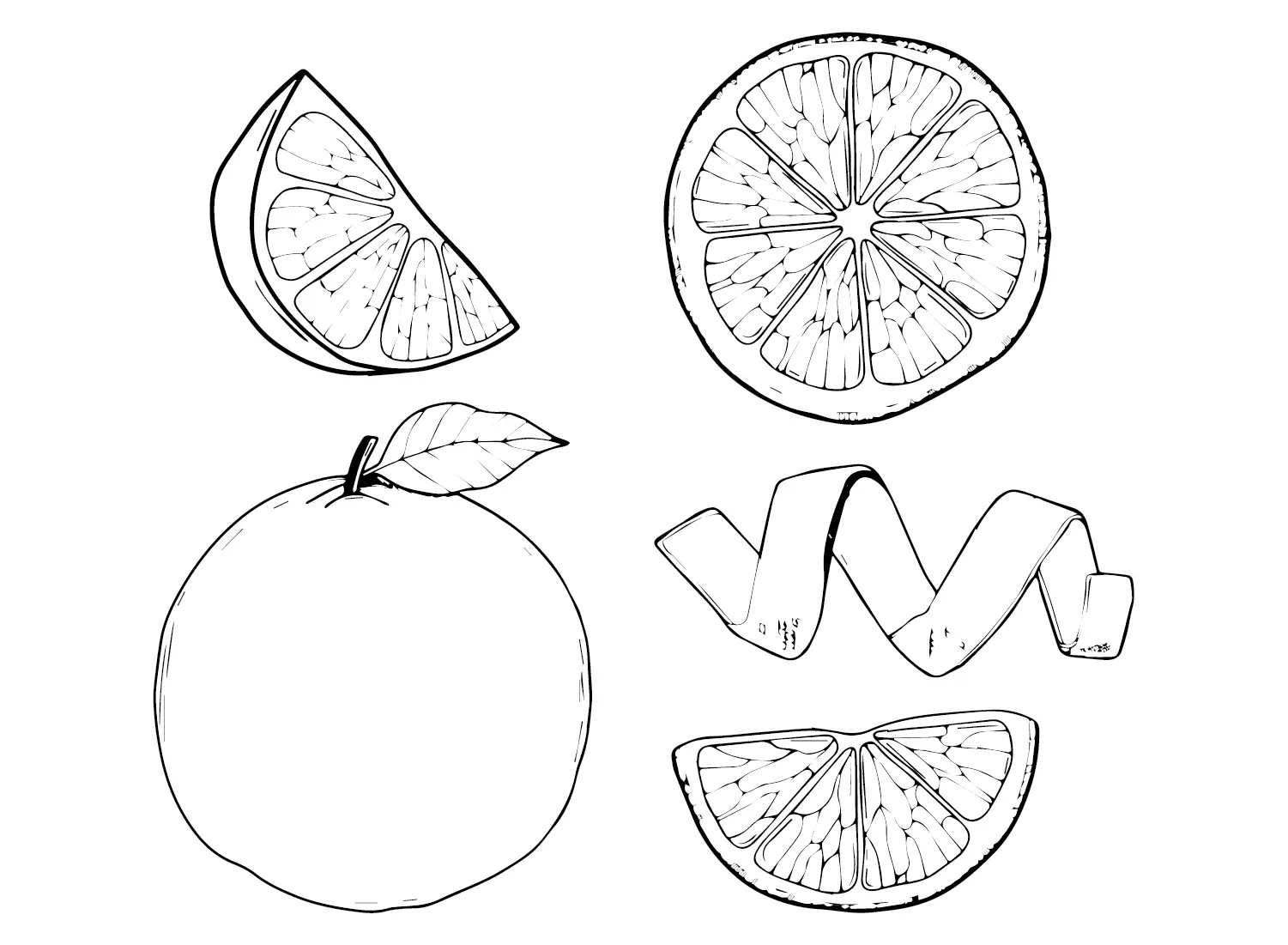 Grapefruit Ausmalbilder 5