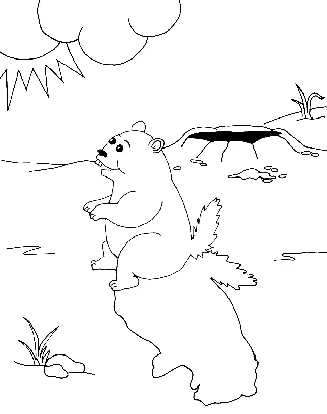 Desenhos de Dia Da Marmota Para Colorir 45