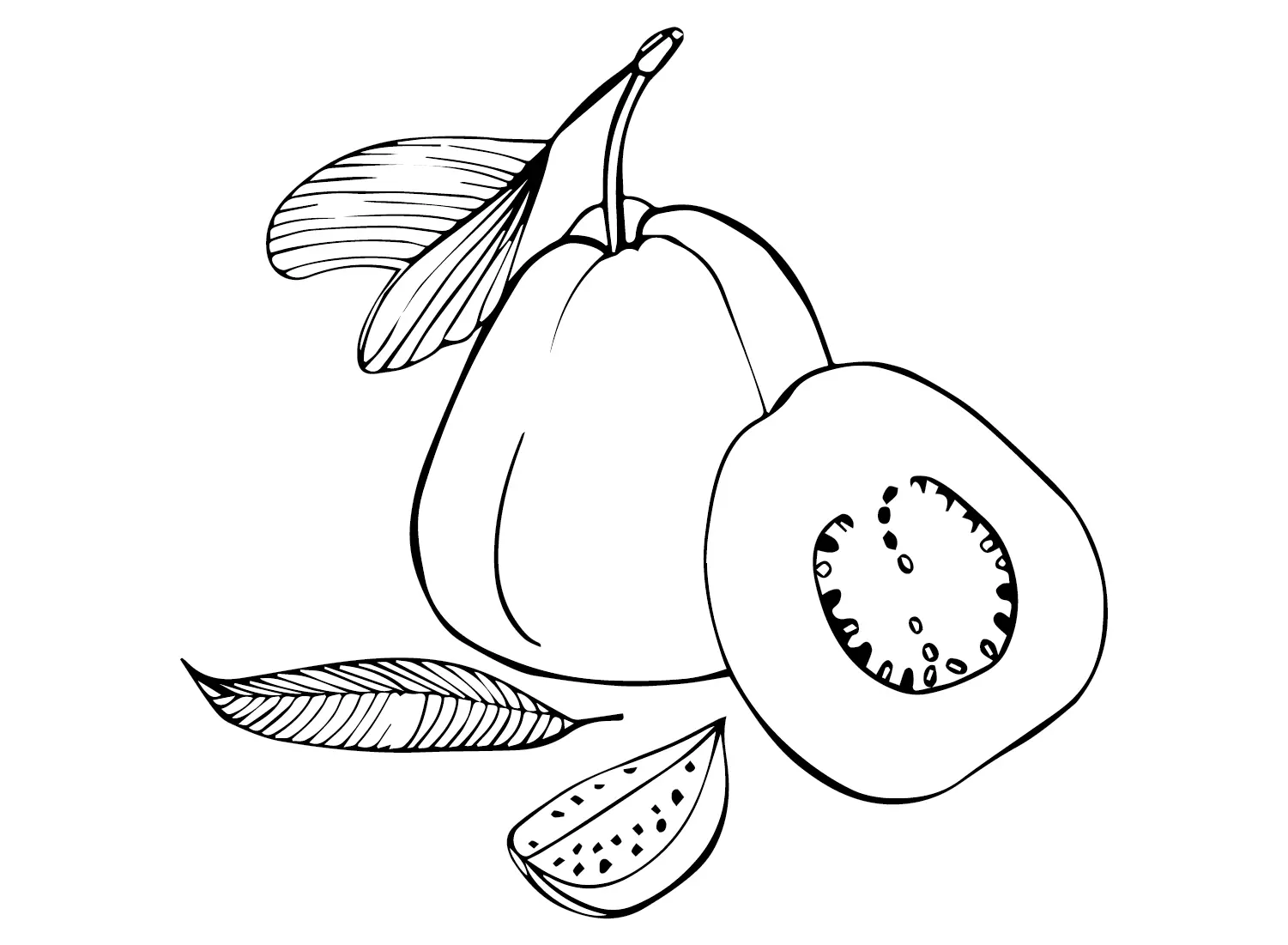 Desenhos de Goiabas Para Colorir 11