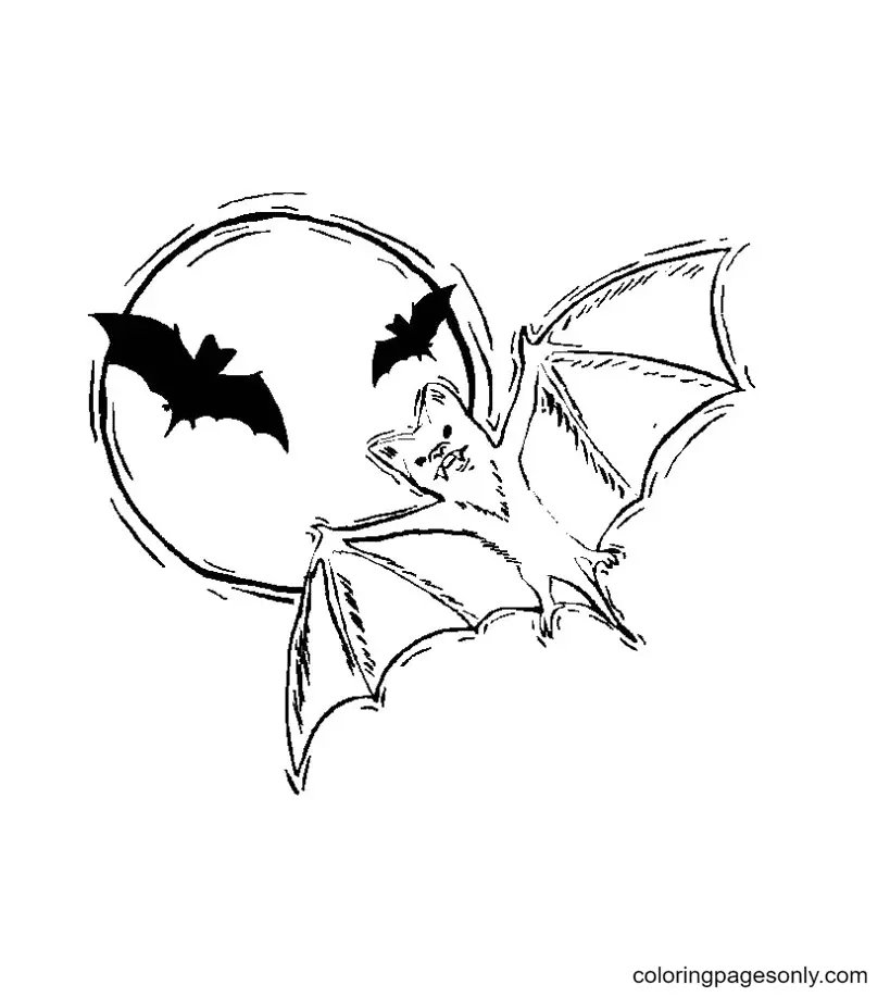Halloween Bats Coloring Pages 28