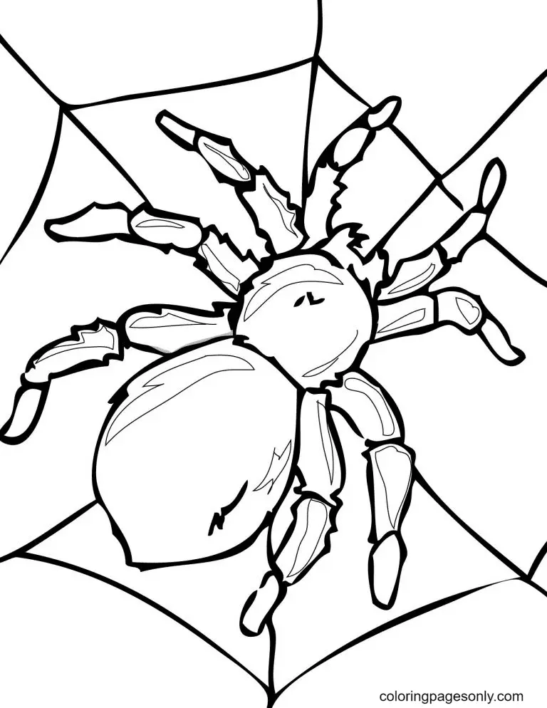 Halloween-Spinnen-Ausmalbilder 15
