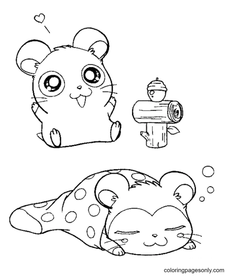 Hamster Ausmalbilder 13