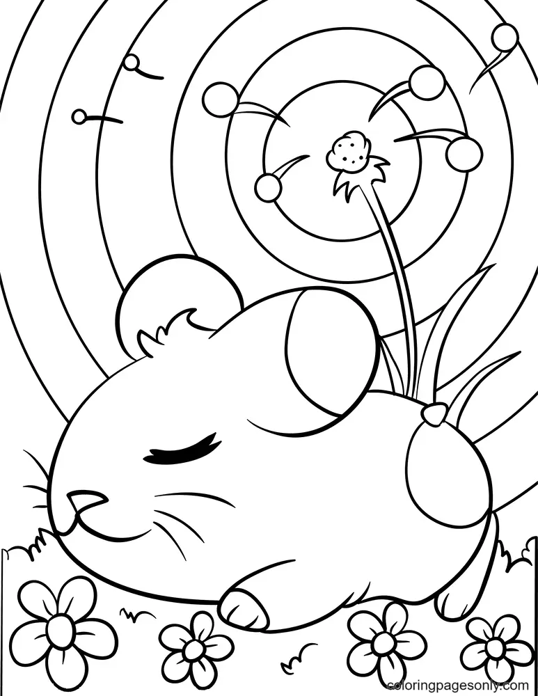 Hamster Ausmalbilder 18