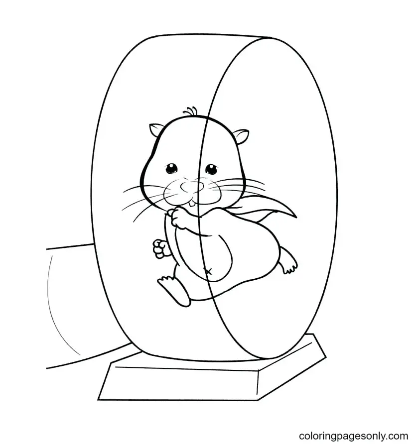 Hamster Ausmalbilder 27