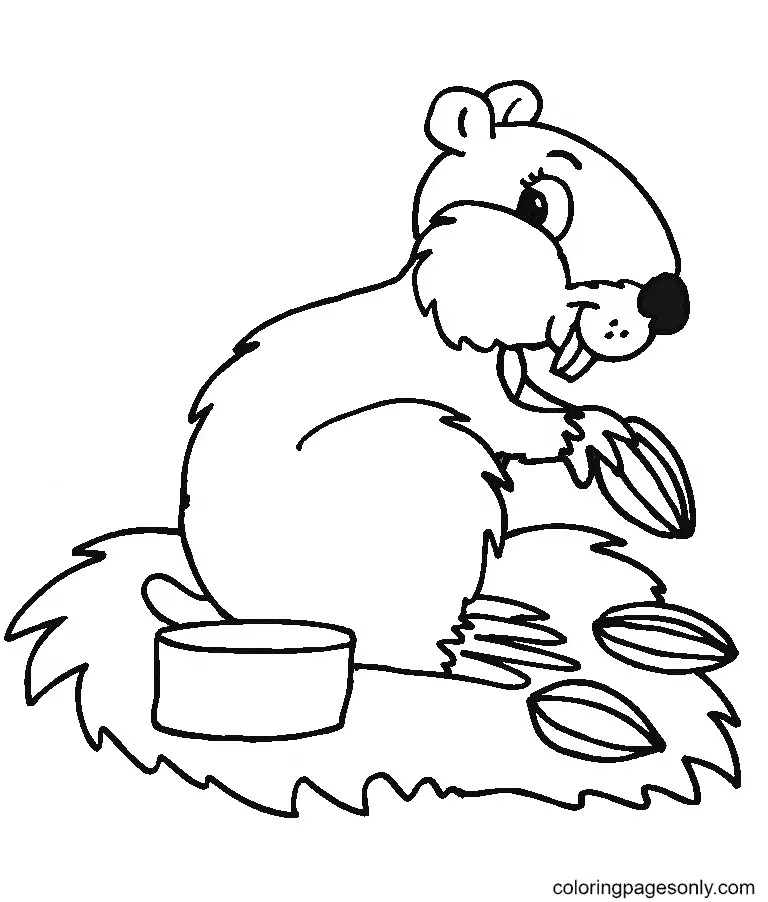 Hamster Ausmalbilder 56