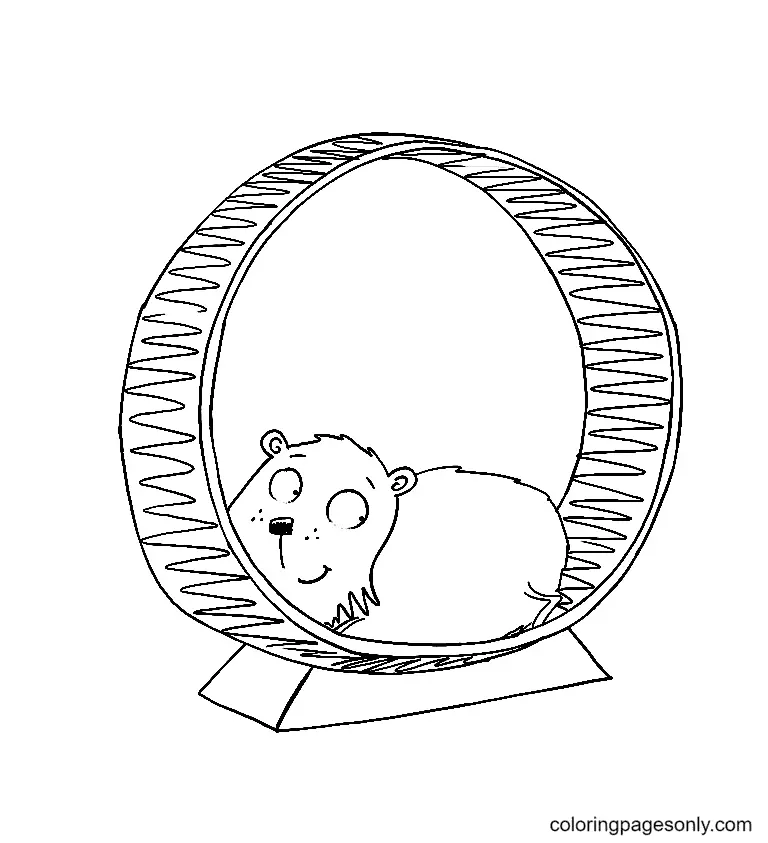 Hamster Ausmalbilder 58