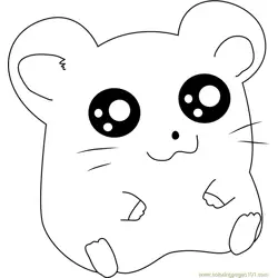 Hamtaro para colorir 8
