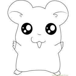 Hamtaro para colorir 9
